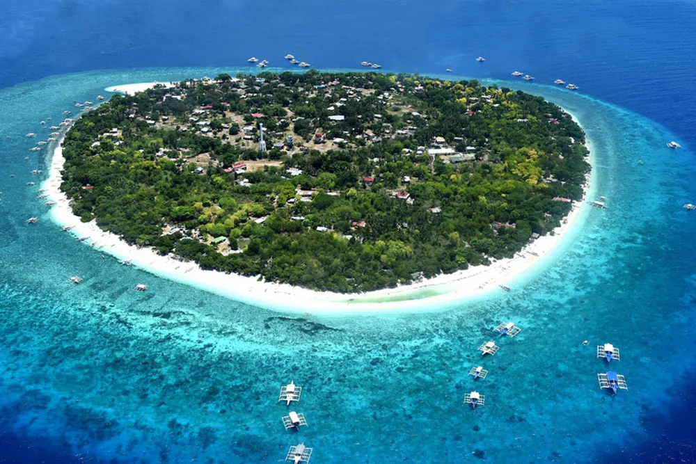 Panglao Island Hopping - Balicasag Island
