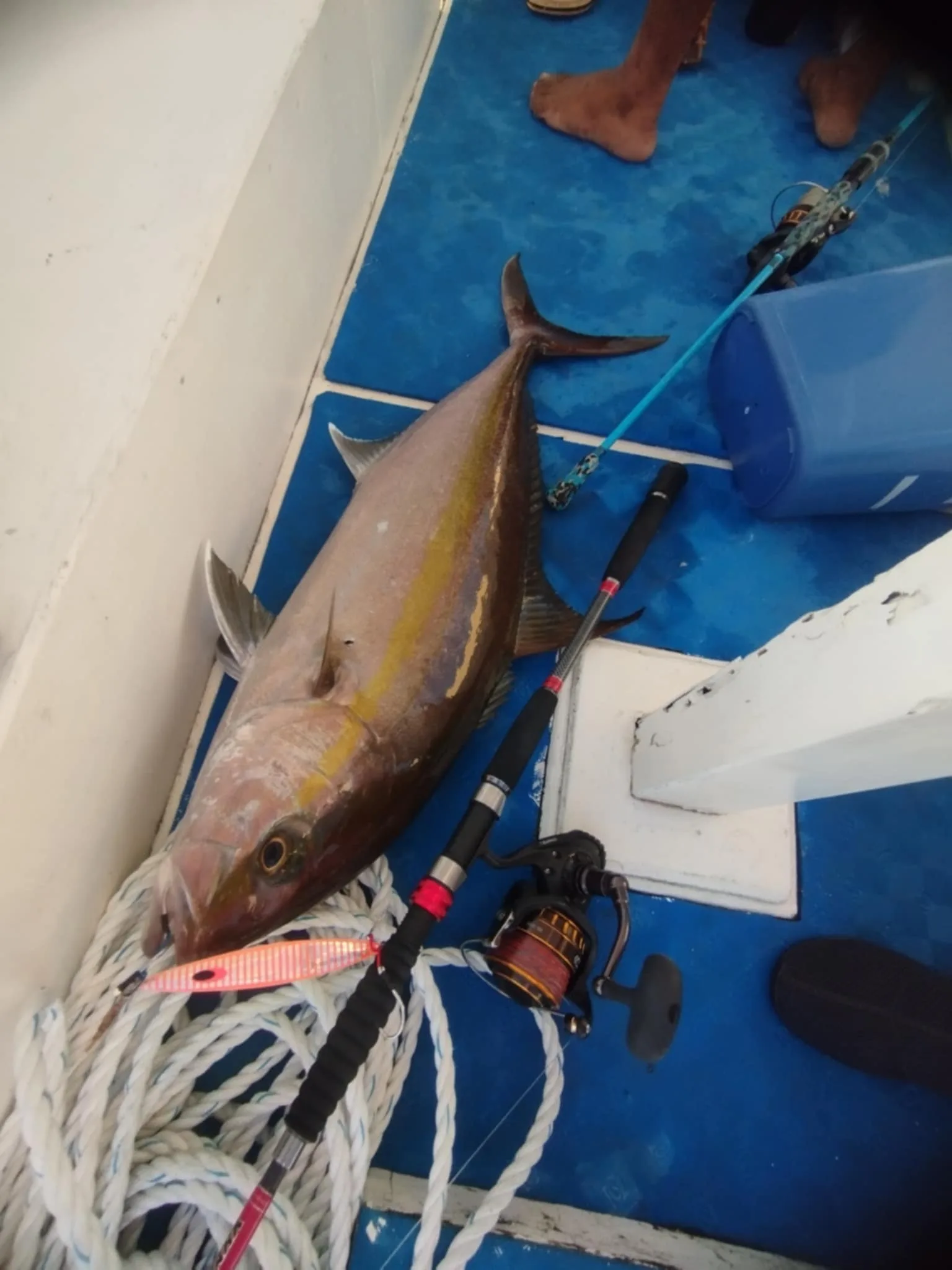 Panglao Fishing Sunset Charter - Book Your Private Tour Online - Image 7